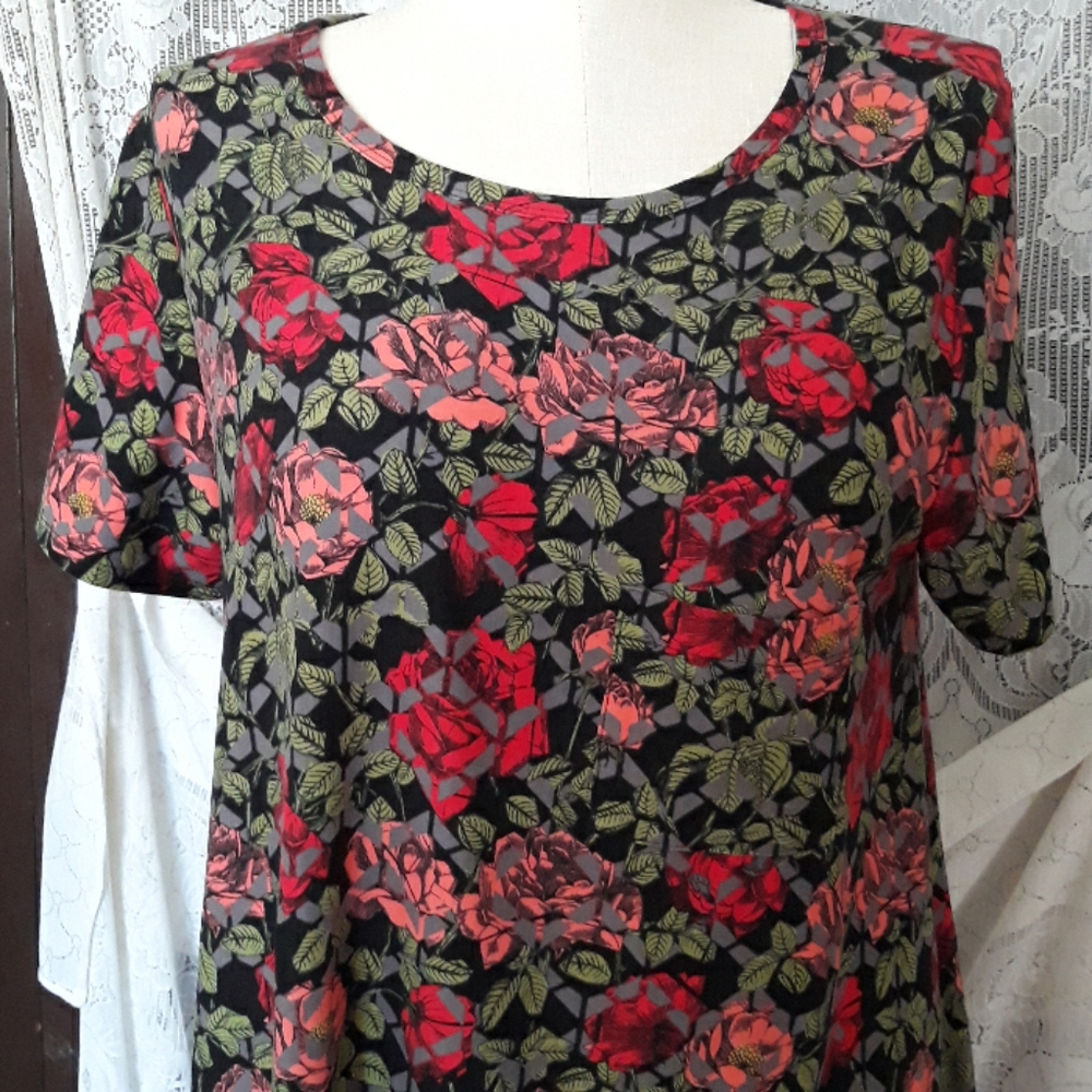 Lularoe floral carly dress. Leggings material